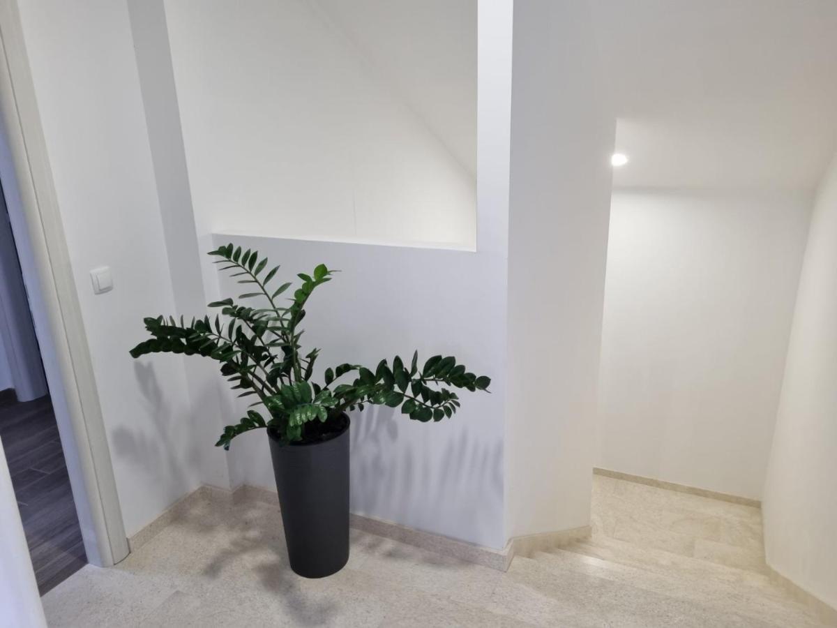 Apartmani Tolj Макарска Екстериор снимка